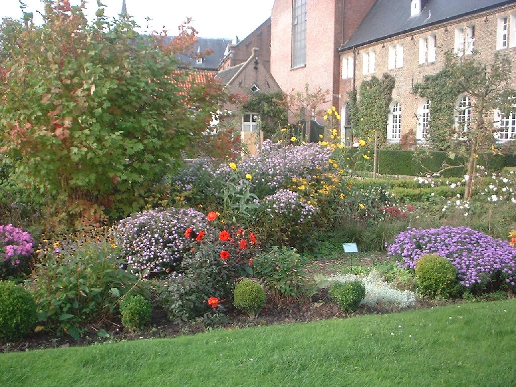 DSCF0089.JPG