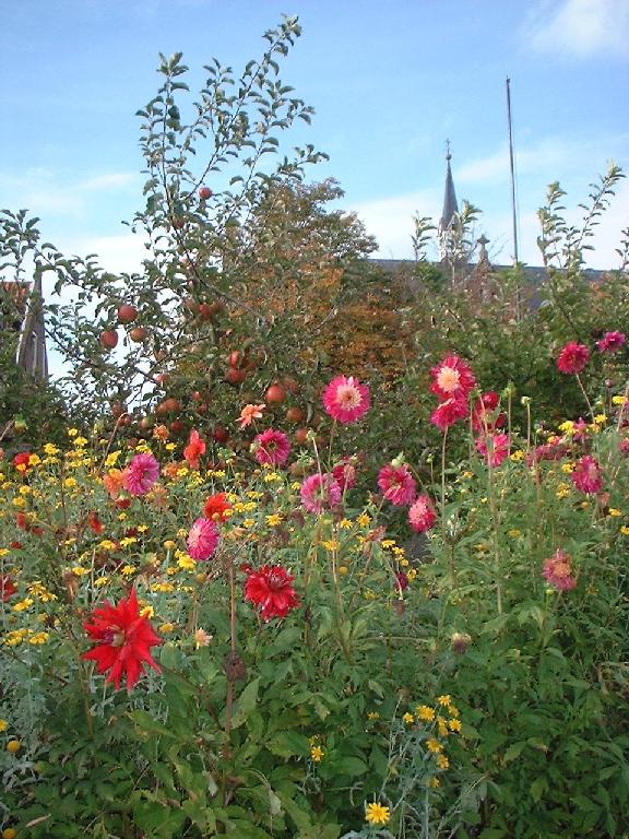DSCF0104.JPG