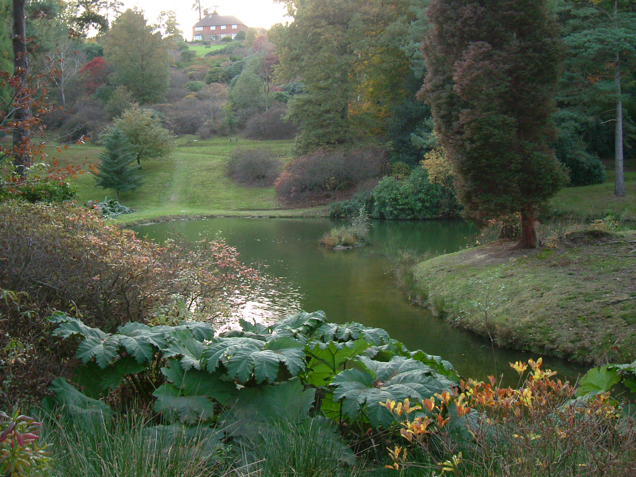 DSCF5327.JPG