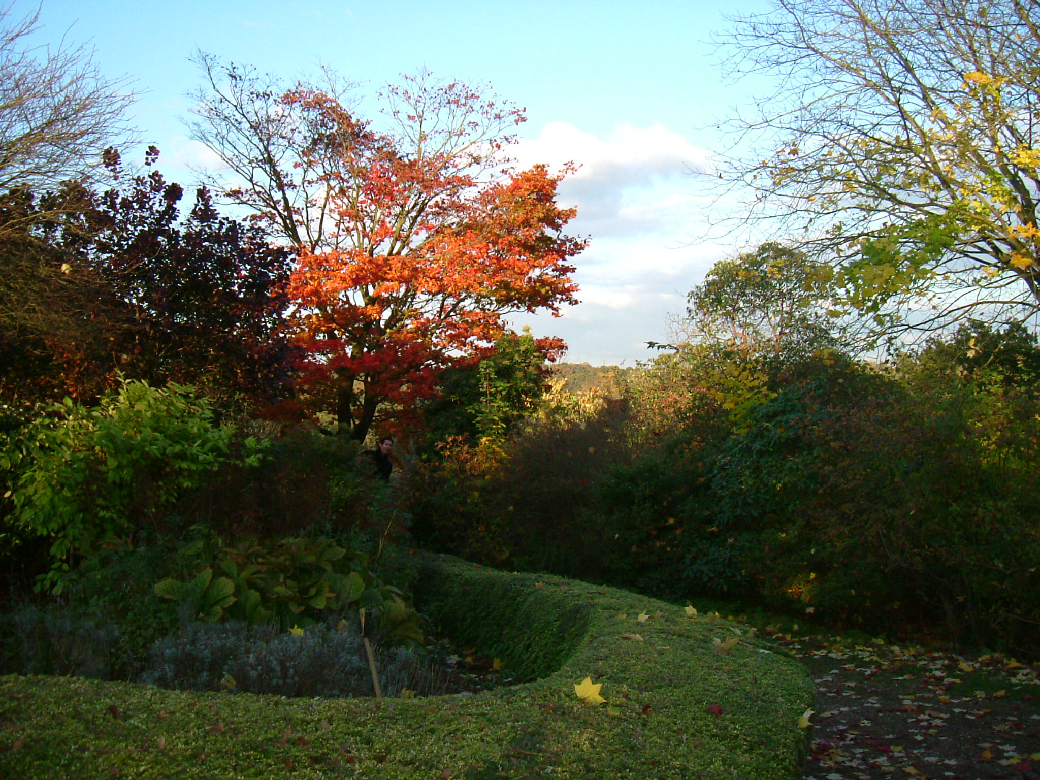 DSCF5304.JPG