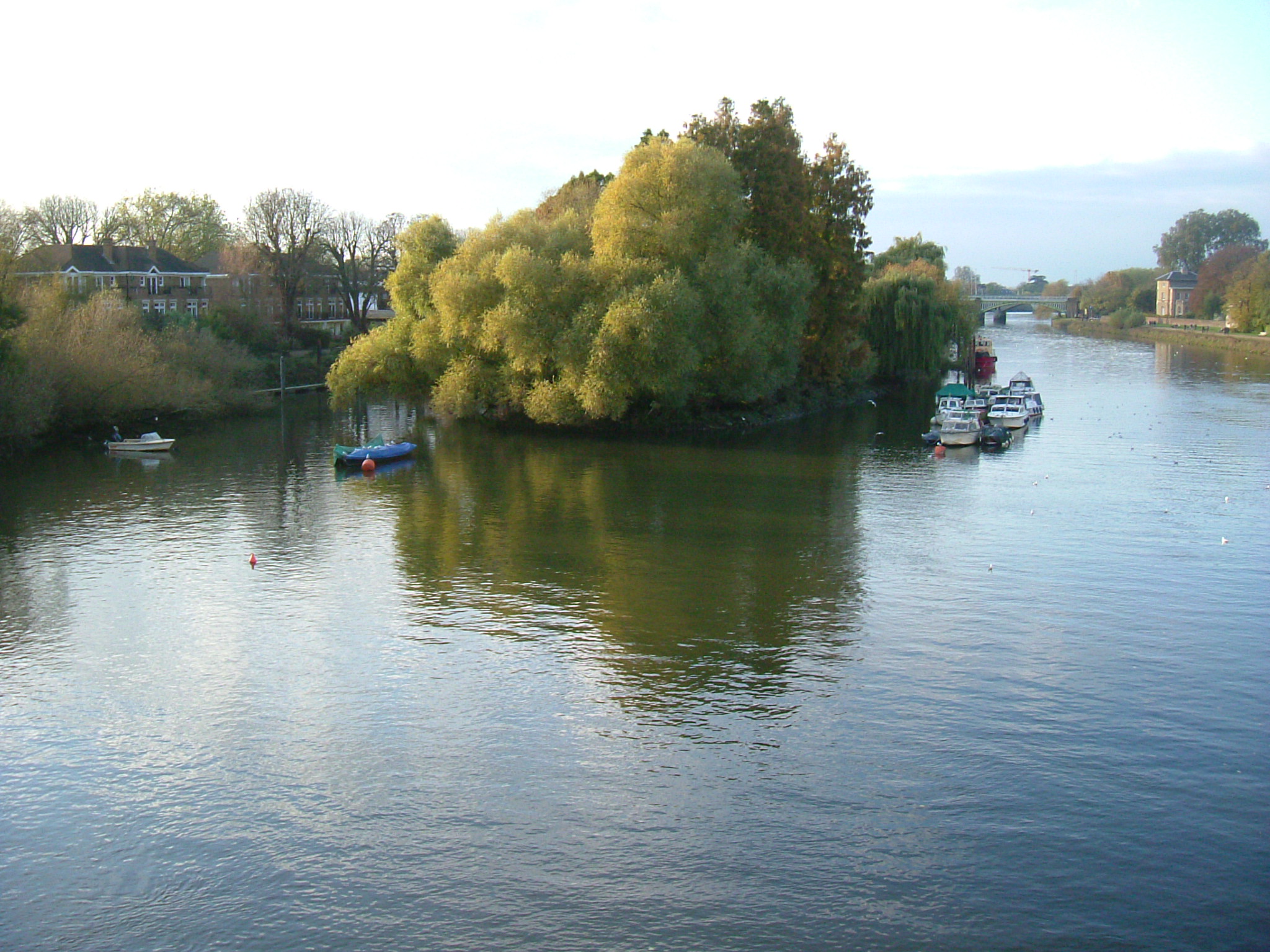 DSCF5389.JPG