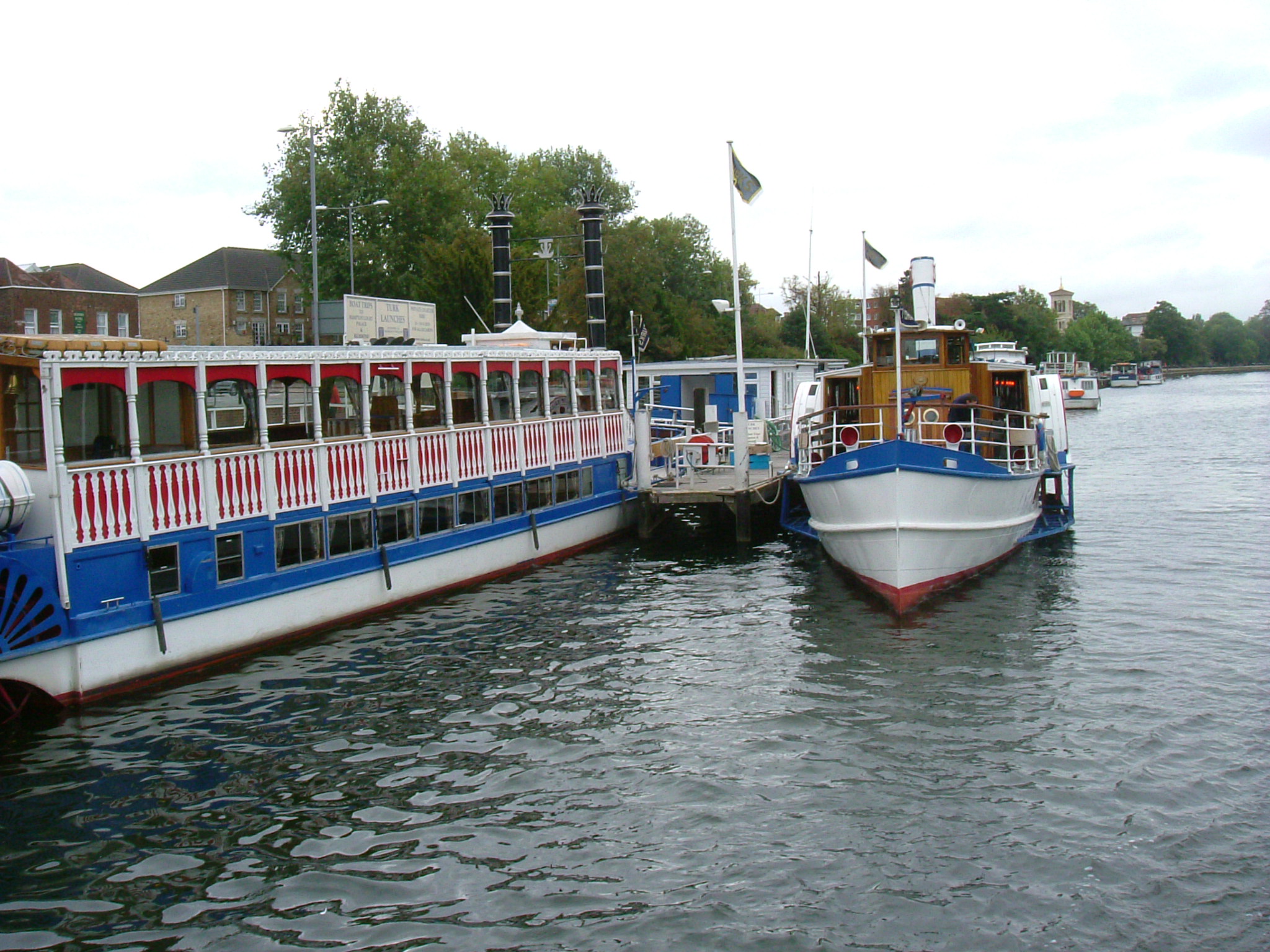 DSC02146.JPG