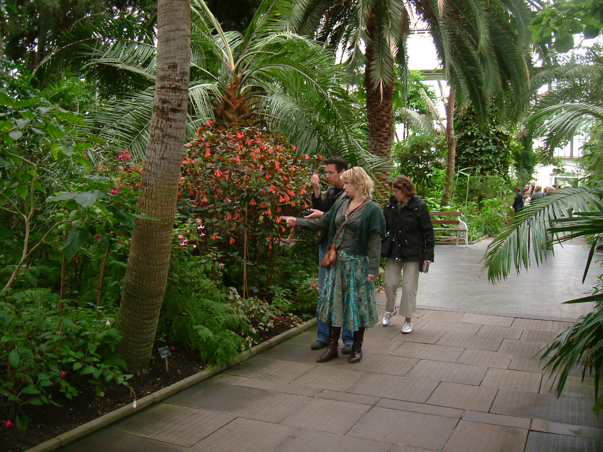 DSC02163.JPG