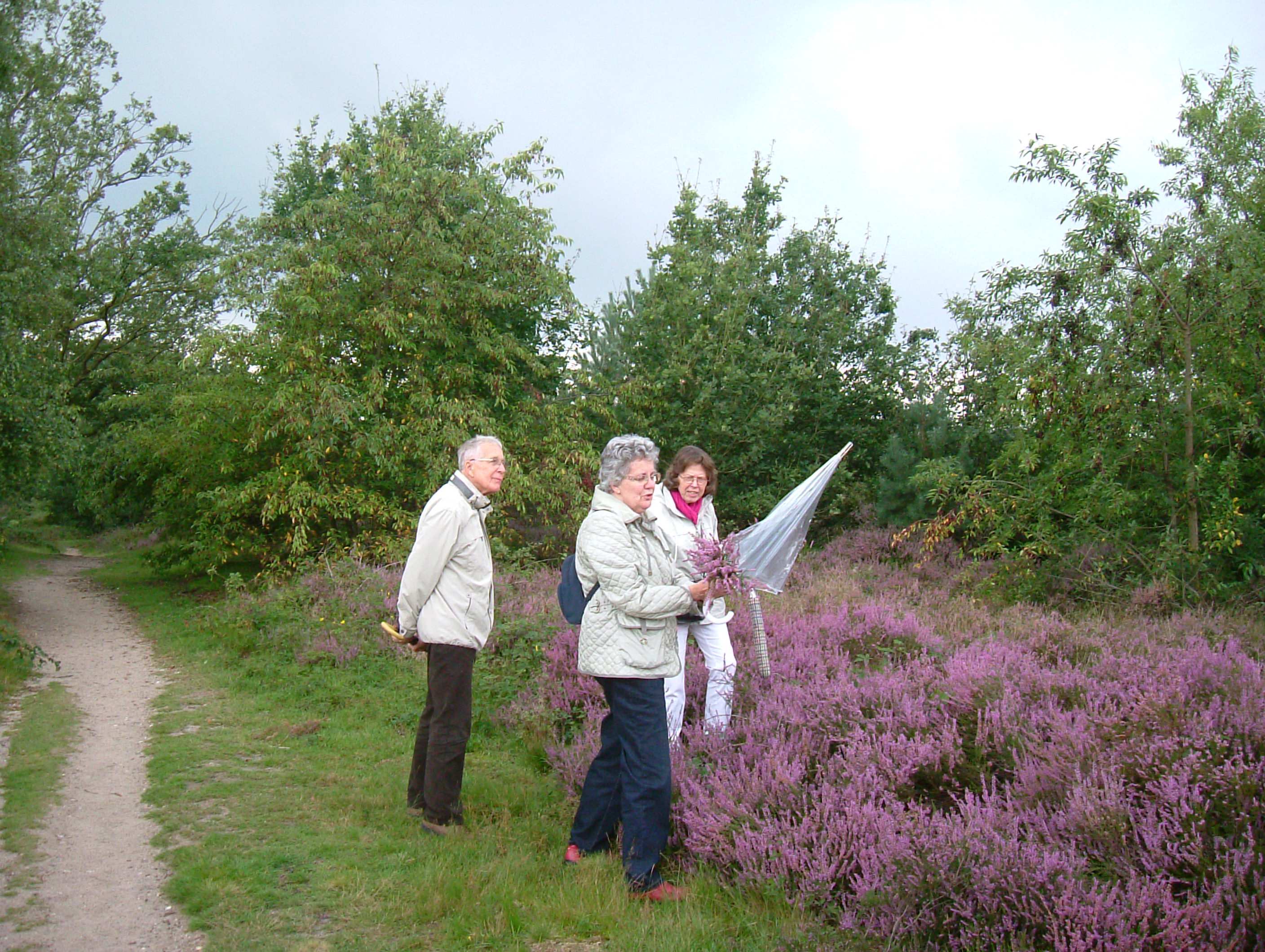 DSCF7400.JPG
