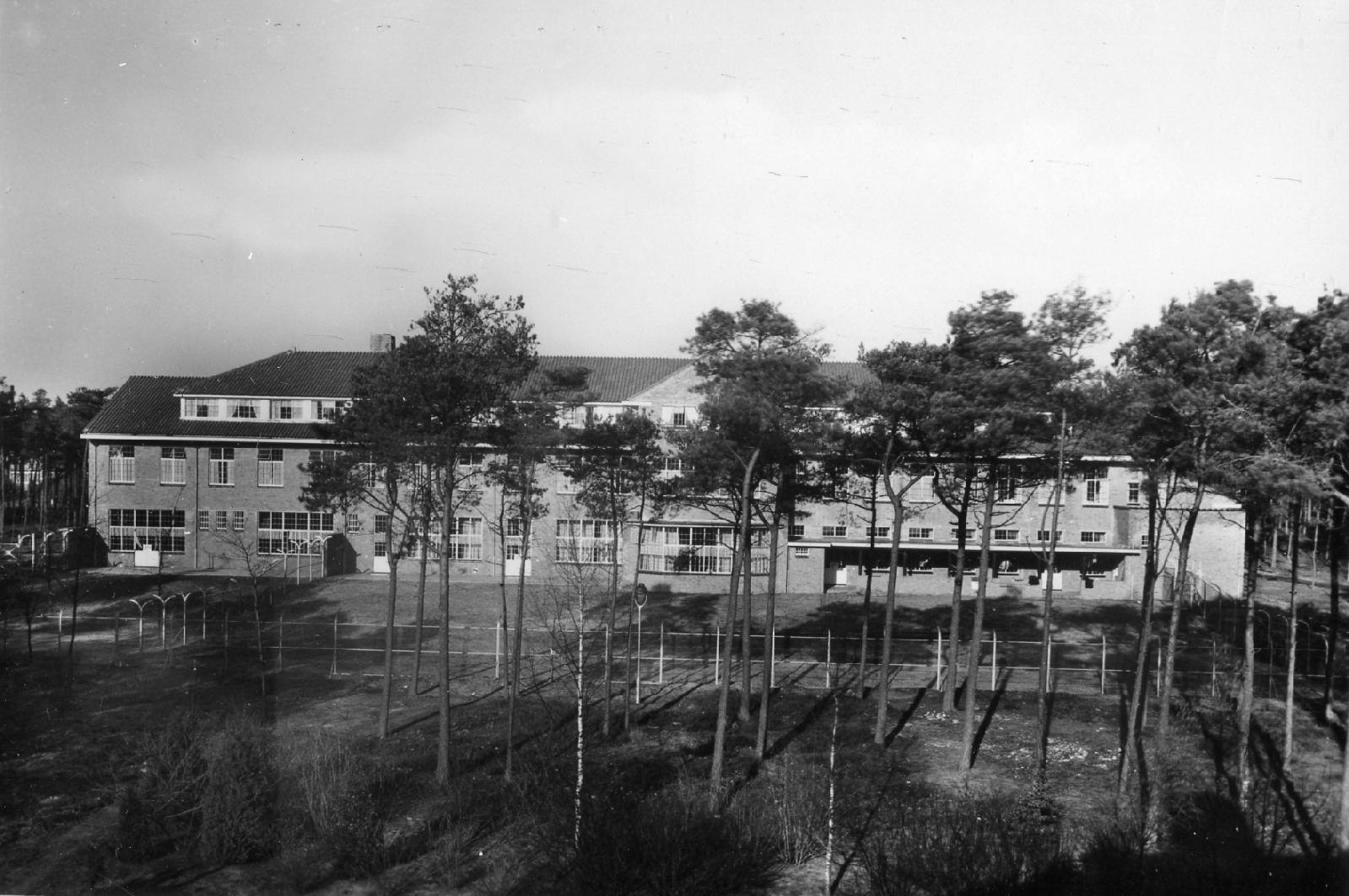 Z&S_011_Cederhorst.jpg